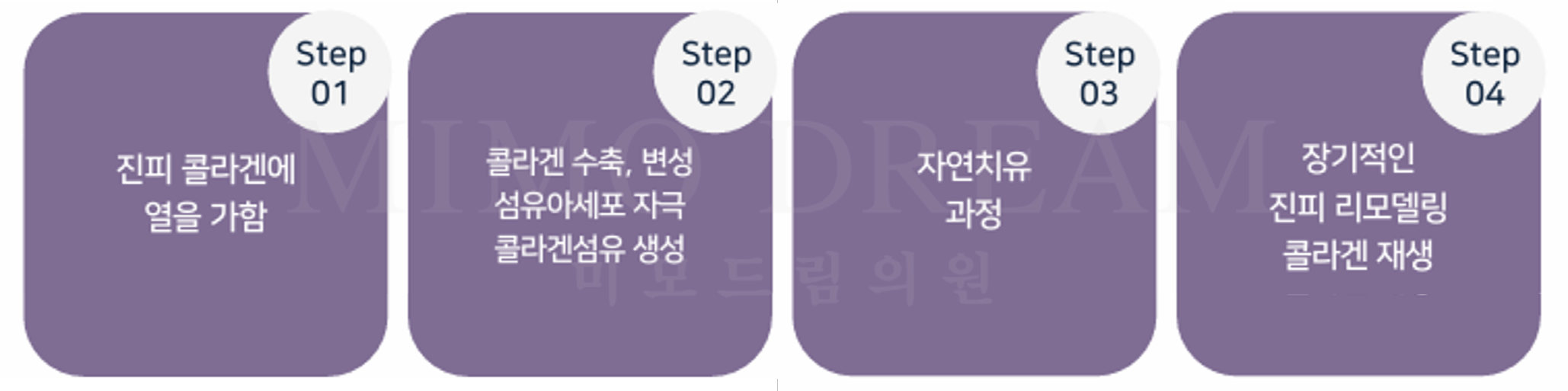 [크기변환]올리지오2